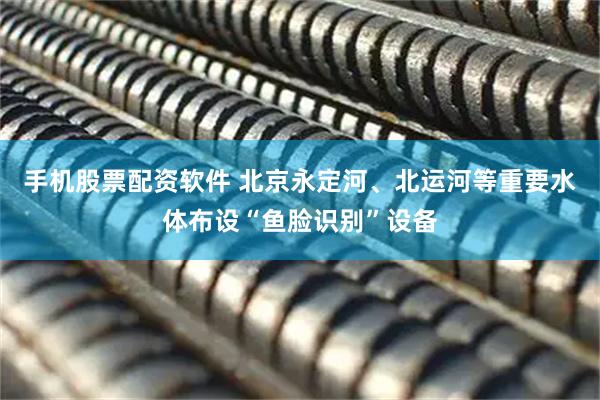 手机股票配资软件 北京永定河、北运河等重要水体布设“鱼脸识别”设备