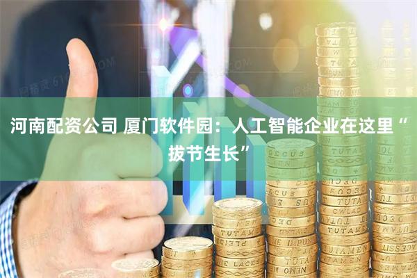 河南配资公司 厦门软件园：人工智能企业在这里“拔节生长”